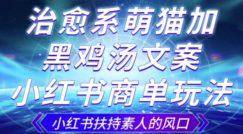 治愈系萌猫加+黑鸡汤文案，小红书商单玩法，3~10天涨到1000粉，一单200左右-学习笔记资源库