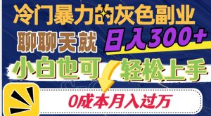 冷门暴利的副业项目，聊聊天就能日入300+，0成本月入过万【揭秘】-学习笔记资源库