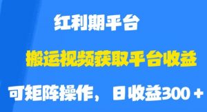 搬运视频获取平台收益，平台红利期，附保姆级教程【揭秘】-学习笔记资源库