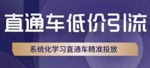 直通车低价引流课,系统化学习直通车精准投放-学习笔记资源库
