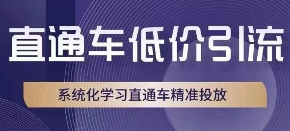 直通车低价引流课，系统化学习直通车精准投放-学习笔记资源库
