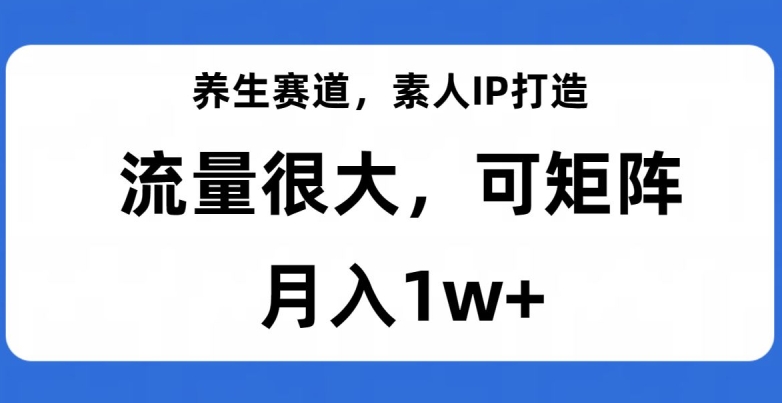 养生赛道，素人IP打造，流量很大，可矩阵，月入1w+【揭秘】-学习笔记资源库