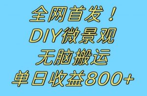 全网首发冷门赛道！DIY微景观，无脑搬运视频，日收益800+【揭秘】-学习笔记资源库