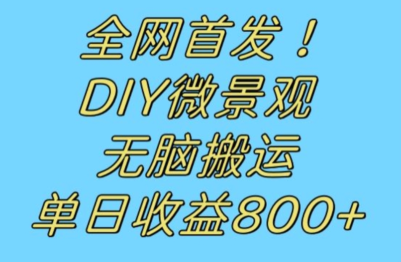 全网首发冷门赛道！DIY微景观，无脑搬运视频，日收益800+【揭秘】-学习笔记资源库
