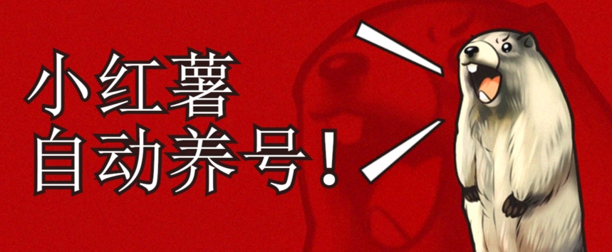 小红书养号秘籍，如何自动涨粉清晰系统标签打造高权重账号【揭秘】-学习笔记资源库