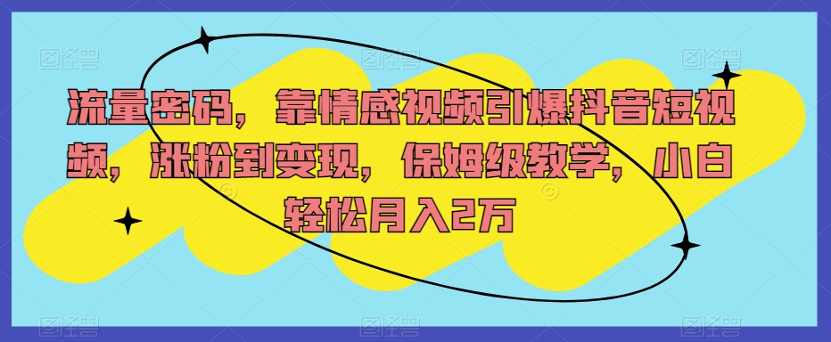 流量密码，靠情感视频引爆抖音短视频，涨粉到变现，保姆级教学，小白轻松月入2万【揭秘】-学习笔记资源库