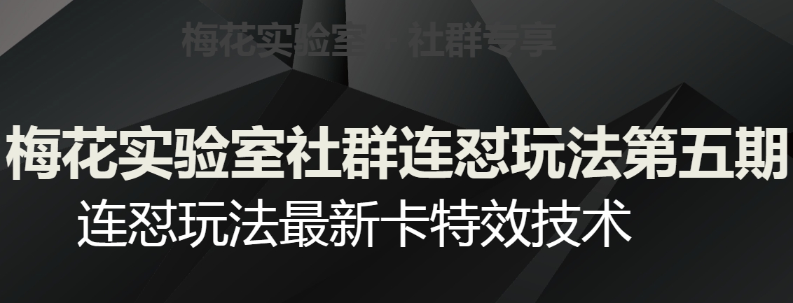 梅花实验室社群连怼玩法第五期，视频号连怼玩法最新卡特效技术-学习笔记资源库