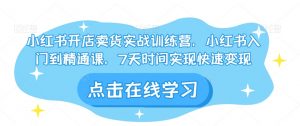 小红书开店卖货实战训练营,小红书入门到精通课,7天时间实现快速变现-学习笔记资源库