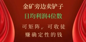 金矿旁边卖铲子，赚确定性的钱，可矩阵，可收徒，日均利润4位数【揭秘】-学习笔记资源库