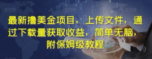 最新撸美金项目,上传文件,通过下载量获取收益,简单无脑,附保姆级教程【揭秘】-学习笔记资源库