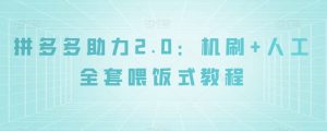 拼多多助力2.0：机刷+人工全套喂饭式教程【揭秘】-学习笔记资源库