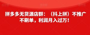 拼多多无货源店群:(抖上拼)不推广不刷单,利润月入过万!【揭秘】-学习笔记资源库