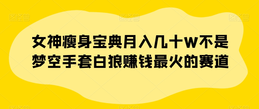 女神瘦身宝典月入几十W不是梦空手套白狼赚钱最火的赛道【揭秘】-学习笔记资源库