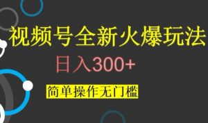 视频号最新爆火玩法,日入300+,简单操作无门槛【揭秘】-学习笔记资源库