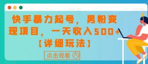 快手暴力起号,男粉变现项目,一天收入500+【详细玩法】【揭秘】-学习笔记资源库