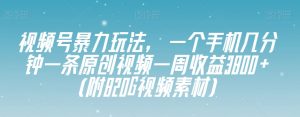 视频号暴力玩法，一个手机几分钟一条原创视频一周收益3800+（附820G视频素材）-学习笔记资源库