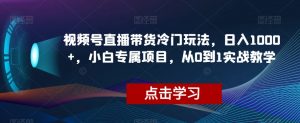 视频号直播带货冷门玩法,日入1000+,小白专属项目,从0到1实战教学【揭秘】-学习笔记资源库