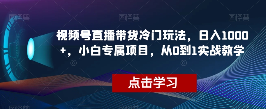 视频号直播带货冷门玩法，日入1000+，小白专属项目，从0到1实战教学【揭秘】-学习笔记资源库