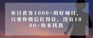 单日获客1000+的好项目，只要你微信扛得住，没有1000+你来找我【揭秘】-学习笔记资源库