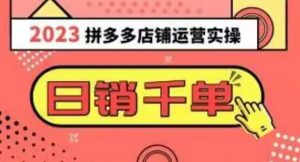 2023拼多多运营实操,每天30分钟日销1000+,爆款选品技巧大全(10节课)-学习笔记资源库