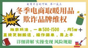 利用电商平台冬季销售取暖用品欺诈行为合理制裁店铺，单日入900+【仅揭秘】-学习笔记资源库