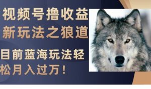 视频号撸收益新玩法之狼道,目前蓝海玩法,轻松月入过万【揭秘】-学习笔记资源库