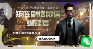 矩阵刷爆微信蝴蝶号创作者分成计划收益的新玩法,日入2000+【揭秘】-学习笔记资源库