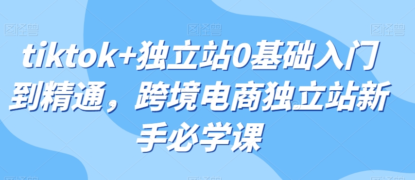 tiktok+独立站0基础入门到精通，跨境电商独立站新手必学课-学习笔记资源库