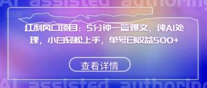 红利风口项目:5分钟一篇爆文,纯AI处理,小白轻松上手,单号日收益500+【揭秘】-学习笔记资源库
