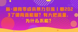 新·微商零成本暴力引流丨都2023了微商还能做?有大把流量,为什么不能?-学习笔记资源库