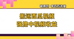 搬运西瓜视频强撸中视频收益,日赚600+破原创,拿百万流量【揭秘】-学习笔记资源库
