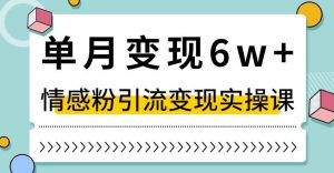 单月变现6W+，抖音情感粉引流变现实操课，小白可做，轻松上手，独家赛道【揭秘】-学习笔记资源库