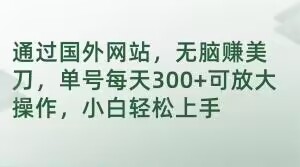 通过国外网站，无脑赚美刀，单号每天300+可放大操作，小白轻松上手【揭秘】-学习笔记资源库