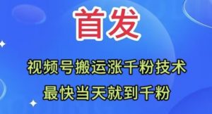 全网首发:视频号无脑搬运涨千粉技术,最快当天到千粉【揭秘】-学习笔记资源库