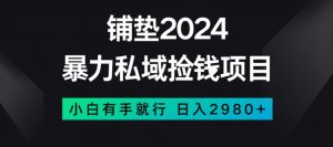 暴力私域捡钱项目,小白无脑操作,日入2980【揭秘】-学习笔记资源库