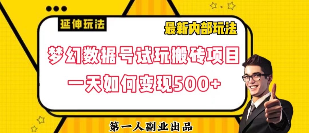 数据号回归玩法游戏试玩搬砖项目再创日入500+【揭秘】-学习笔记资源库