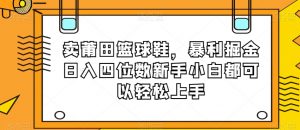卖莆田篮球鞋，暴利掘金日入四位数新手小白都可以轻松上手【揭秘】-学习笔记资源库