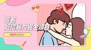 全网首发,揭秘超冷门匿名短信项目,通过信息差日入几百+【揭秘】-学习笔记资源库