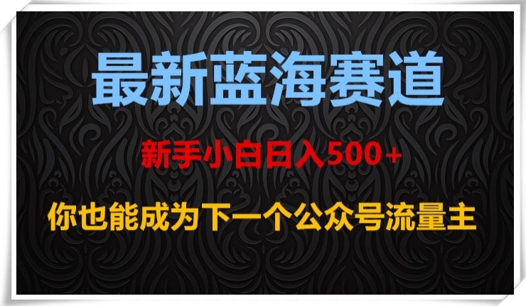最新蓝海赛道，新手小白日入500+，你也能成为下一个公众号流量主【揭秘】-学习笔记资源库