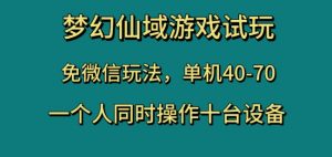 梦幻仙域游戏试玩,免微信玩法,单机40-70,一个人同时操作十台设备【揭秘】-学习笔记资源库