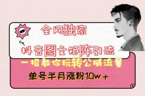 全网独家抖音图文矩阵引流,一招教你玩转公域流量,单号半月涨粉10w+【揭秘】-学习笔记资源库