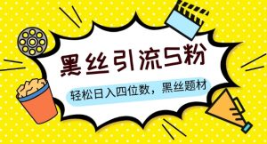 S粉变现,轻松日入四位数,黑丝题材+情感话术【揭秘】-学习笔记资源库