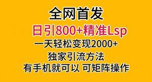 全网首发!日引800+精准老色批,一天变现2000+,独家引流方法,可矩阵操作【揭秘】-学习笔记资源库