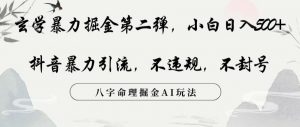 玄学暴力掘金第二弹,小白日入500+,抖音暴力引流,不违规,术封号,八字命理掘金AI玩法【揭秘】-学习笔记资源库