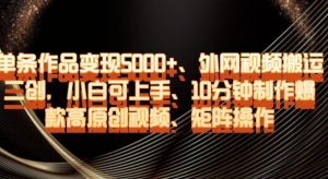 单条作品变现5000+、外网视频搬运二创,小白可上手,10分钟制作爆款高原创视频,矩阵操作【揭秘】-学习笔记资源库