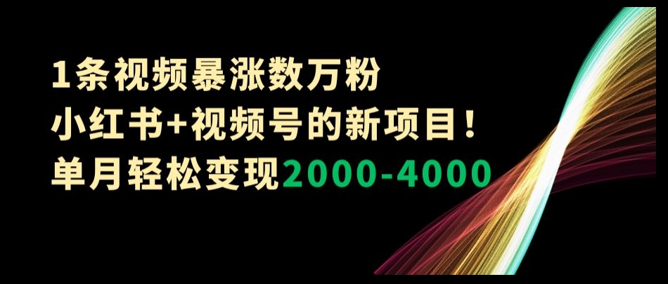1条视频暴涨数万粉–小红书+视频号的新项目！单月轻松变现2000-4000【揭秘】-学习笔记资源库