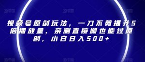 视频号原创玩法,一刀不剪提升5倍播放量,亲测直接搬也能过原创,小白日入500+【揭秘】-学习笔记资源库