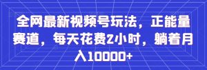 全网最新视频号玩法,正能量赛道,每天花费2小时,躺着月入10000+【揭秘】-学习笔记资源库