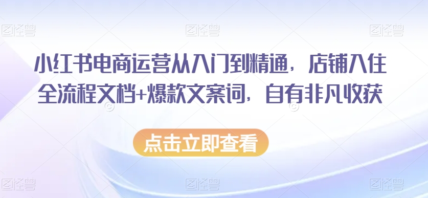 小红书电商运营从入门到精通，店铺入住全流程文档+爆款文案词，自有非凡收获-学习笔记资源库