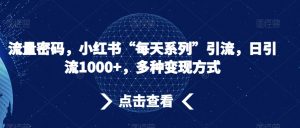 流量密码,小红书“每天系列”引流,日引流1000+,多种变现方式【揭秘】-学习笔记资源库